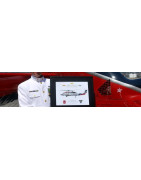 SQUADRON COMMISSIONED